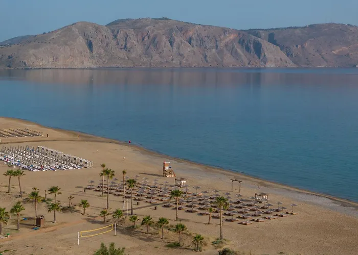 Delfina Tropic Beach